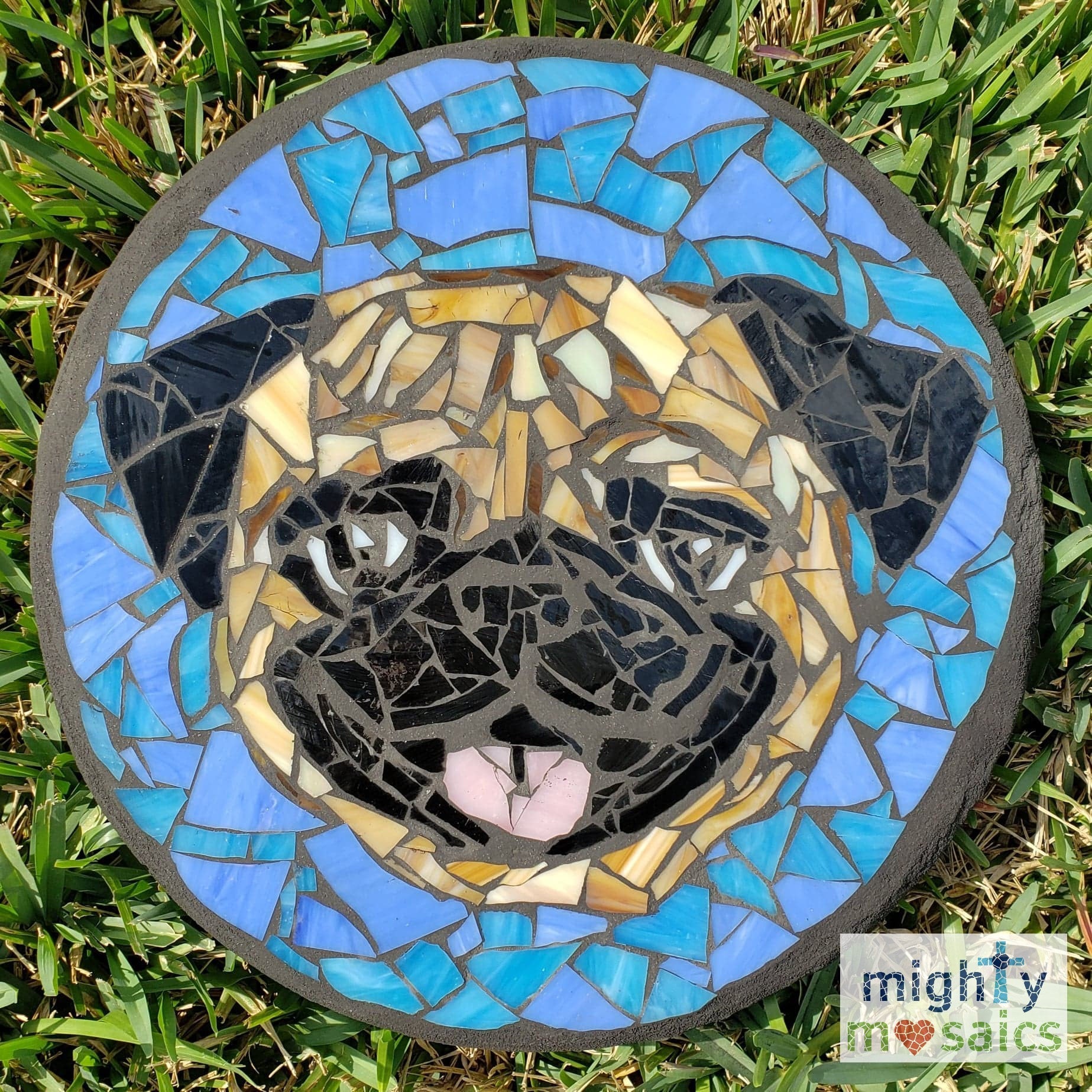 Mosaic Stepping Stone Kit-Pet Photo (1 Unit(s))